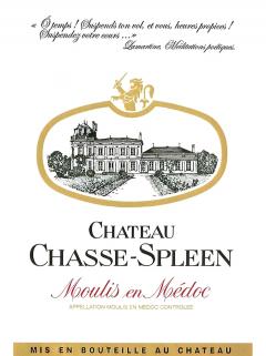 Château Chasse-Spleen 1993 Bottle (75cl) Château Chasse-Spleen 1993 Bottle (75cl)